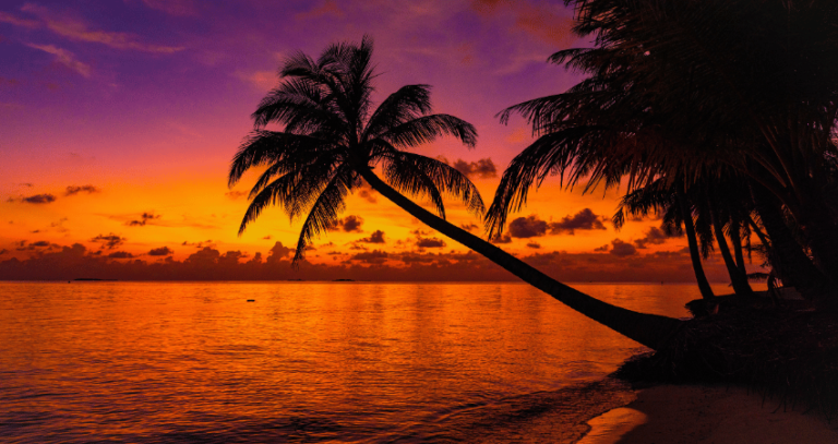 How to Plan a Destination Wedding in Goa: The Complete Guide for Couples
